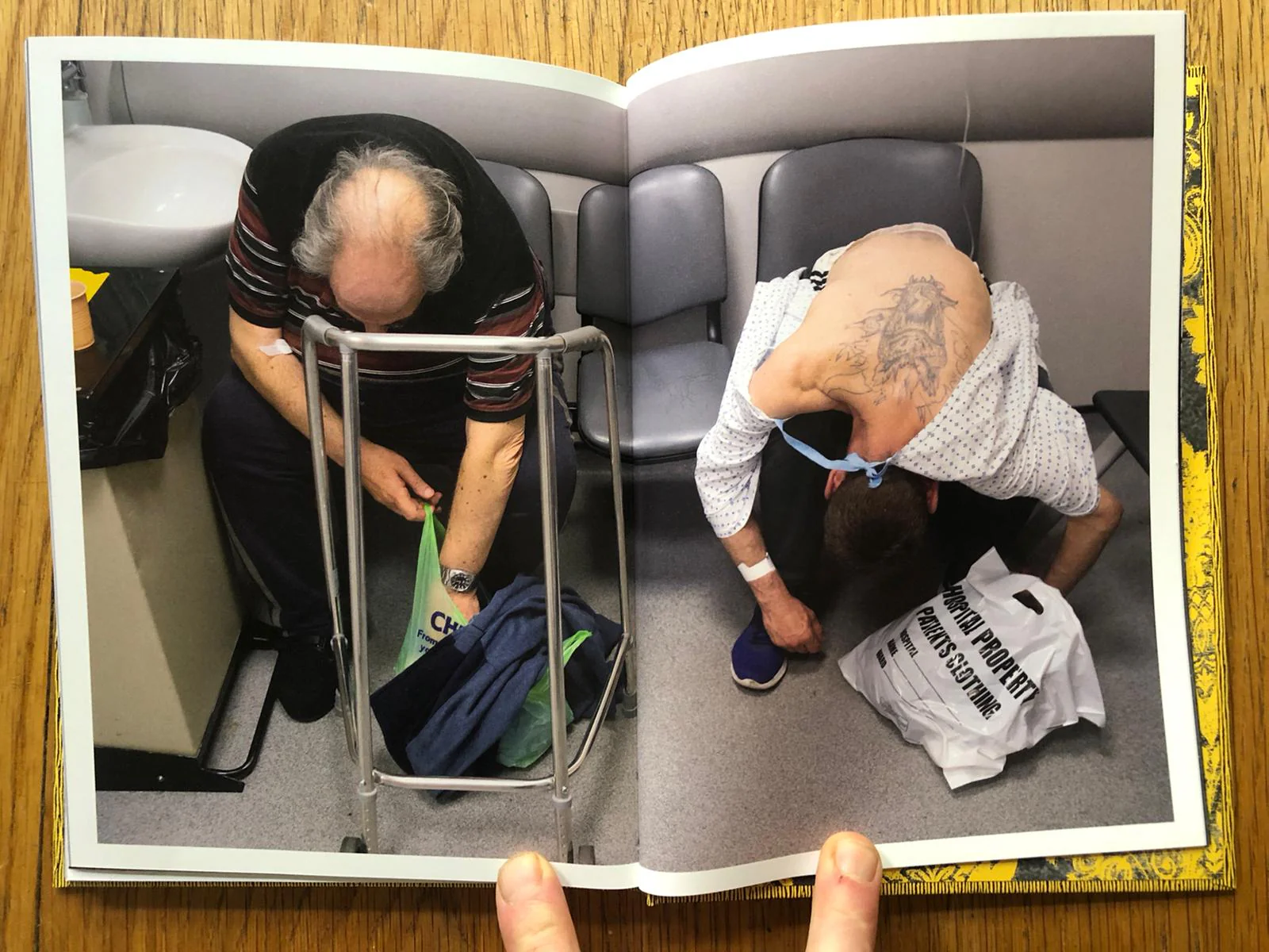 The Budgie Died Instantly - Image 5