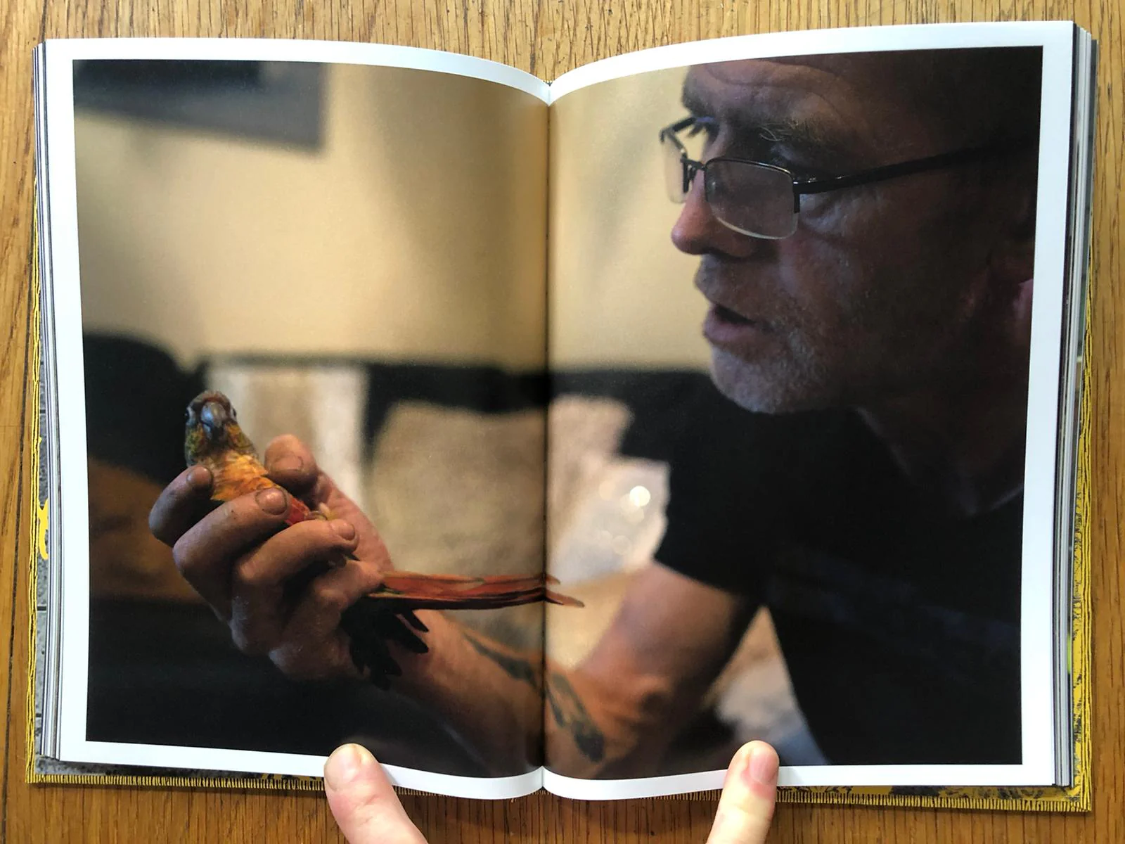 The Budgie Died Instantly - Image 6