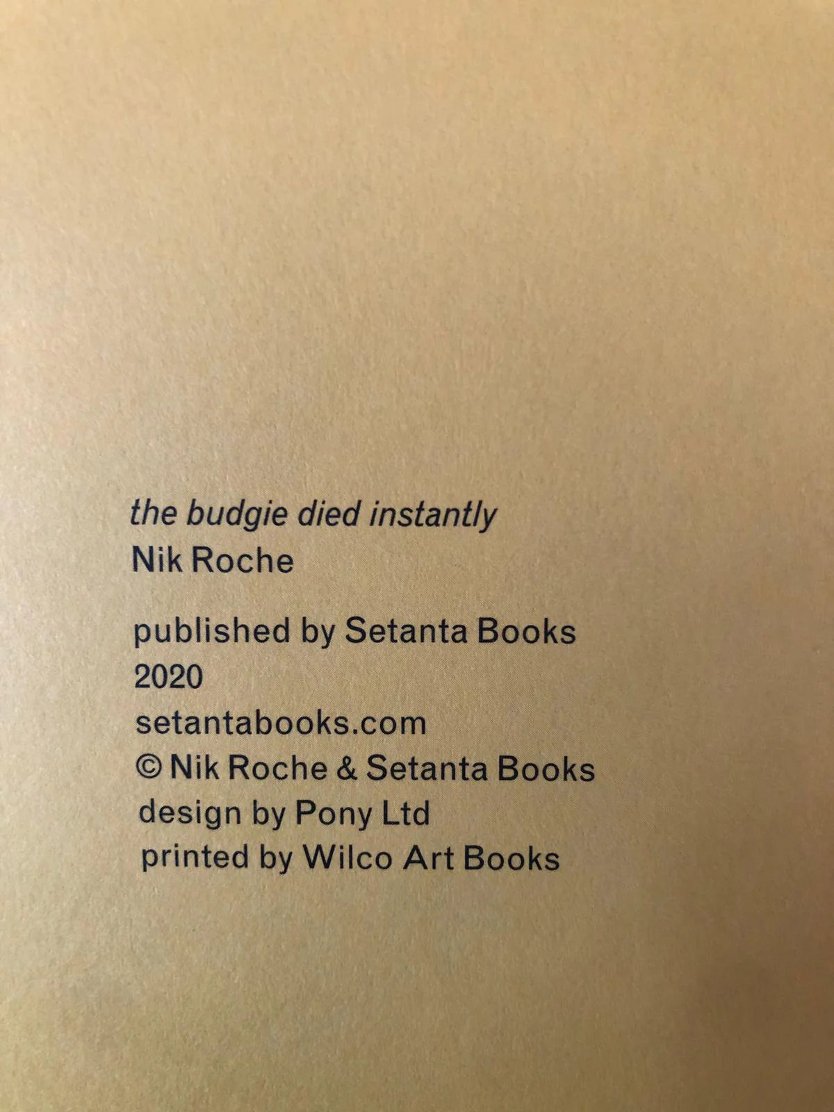 The Budgie Died Instantly - Image 7