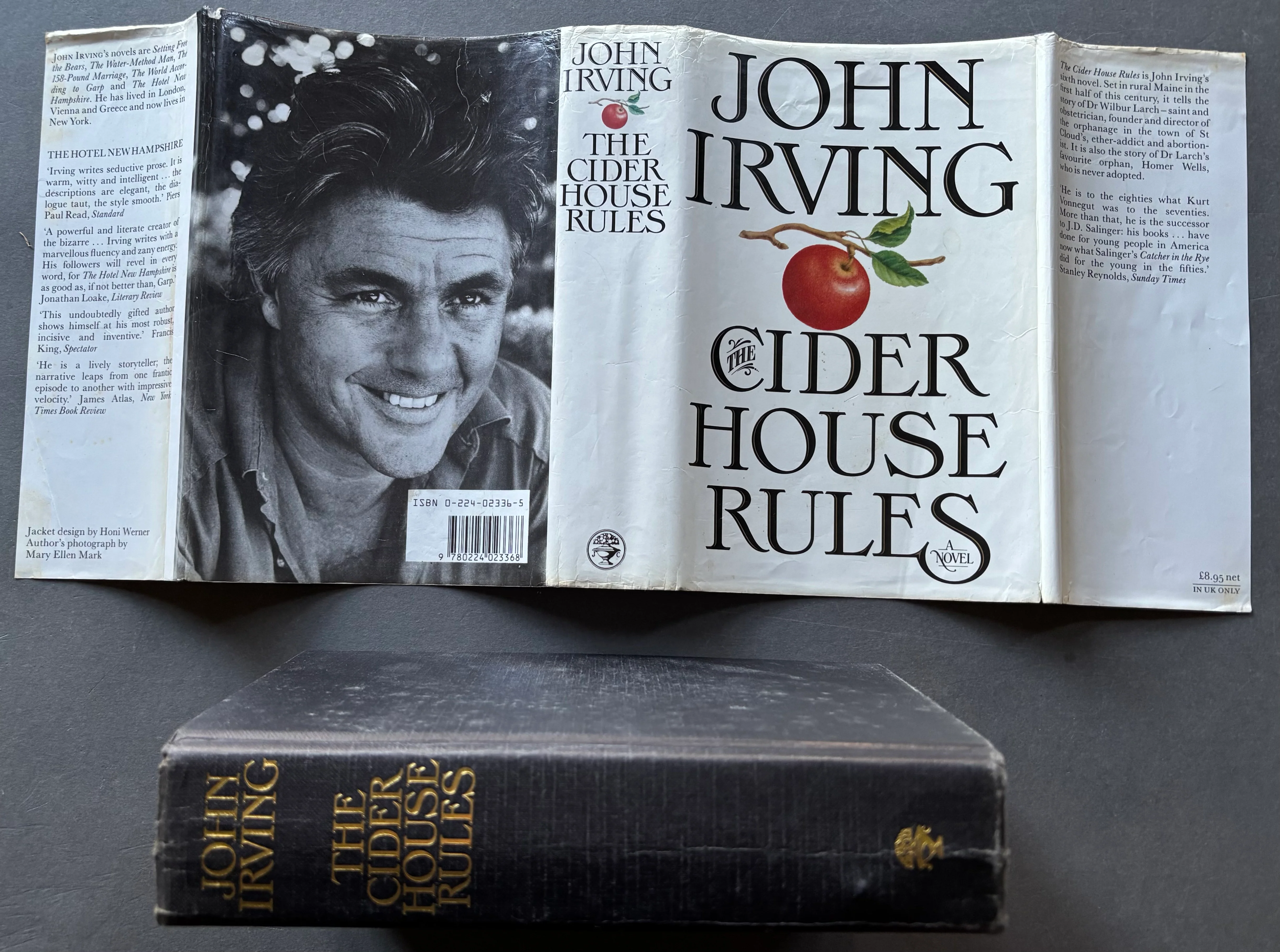 The Cider House Rules - Image 4