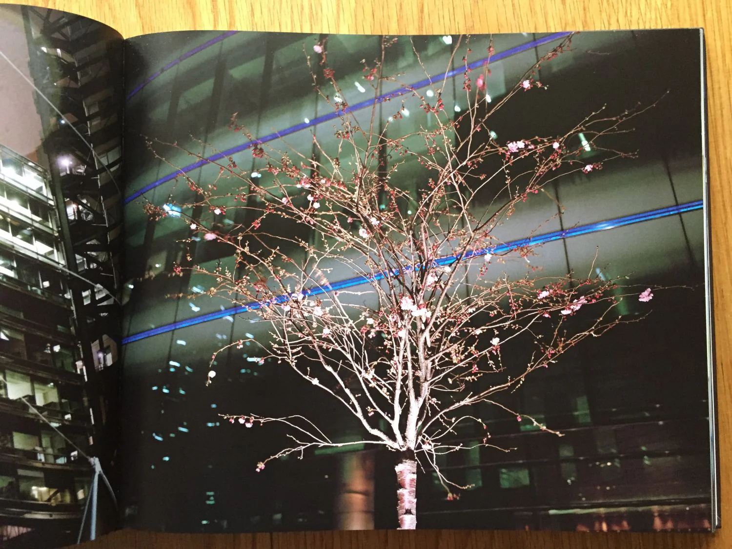 The City - Image 4