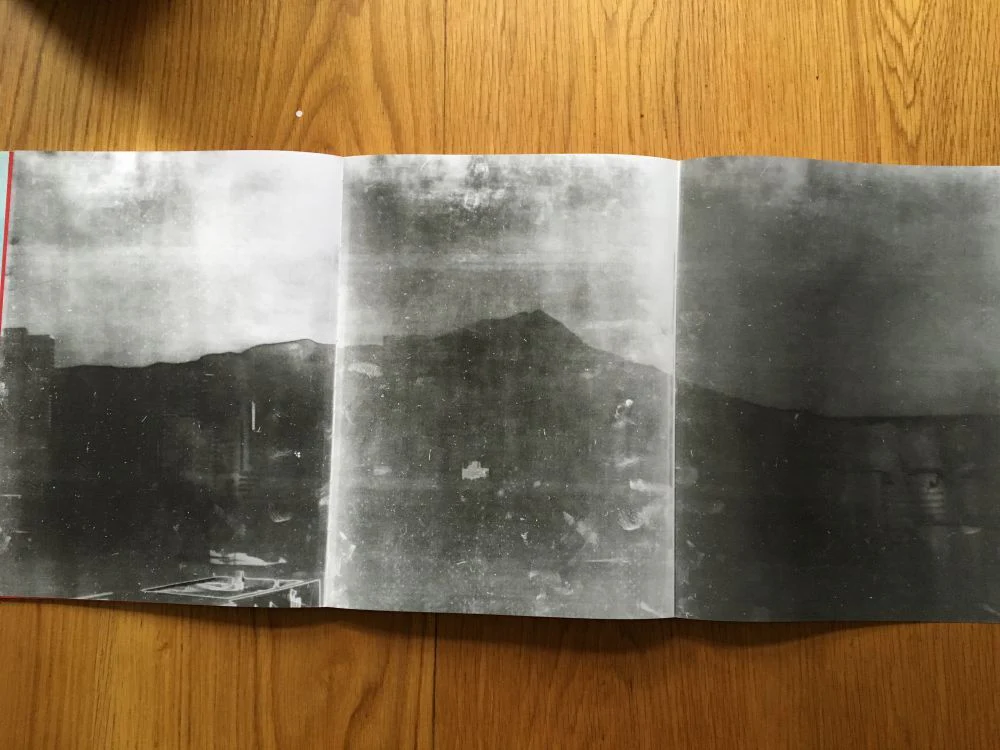 The Narcissistic City - Image 3