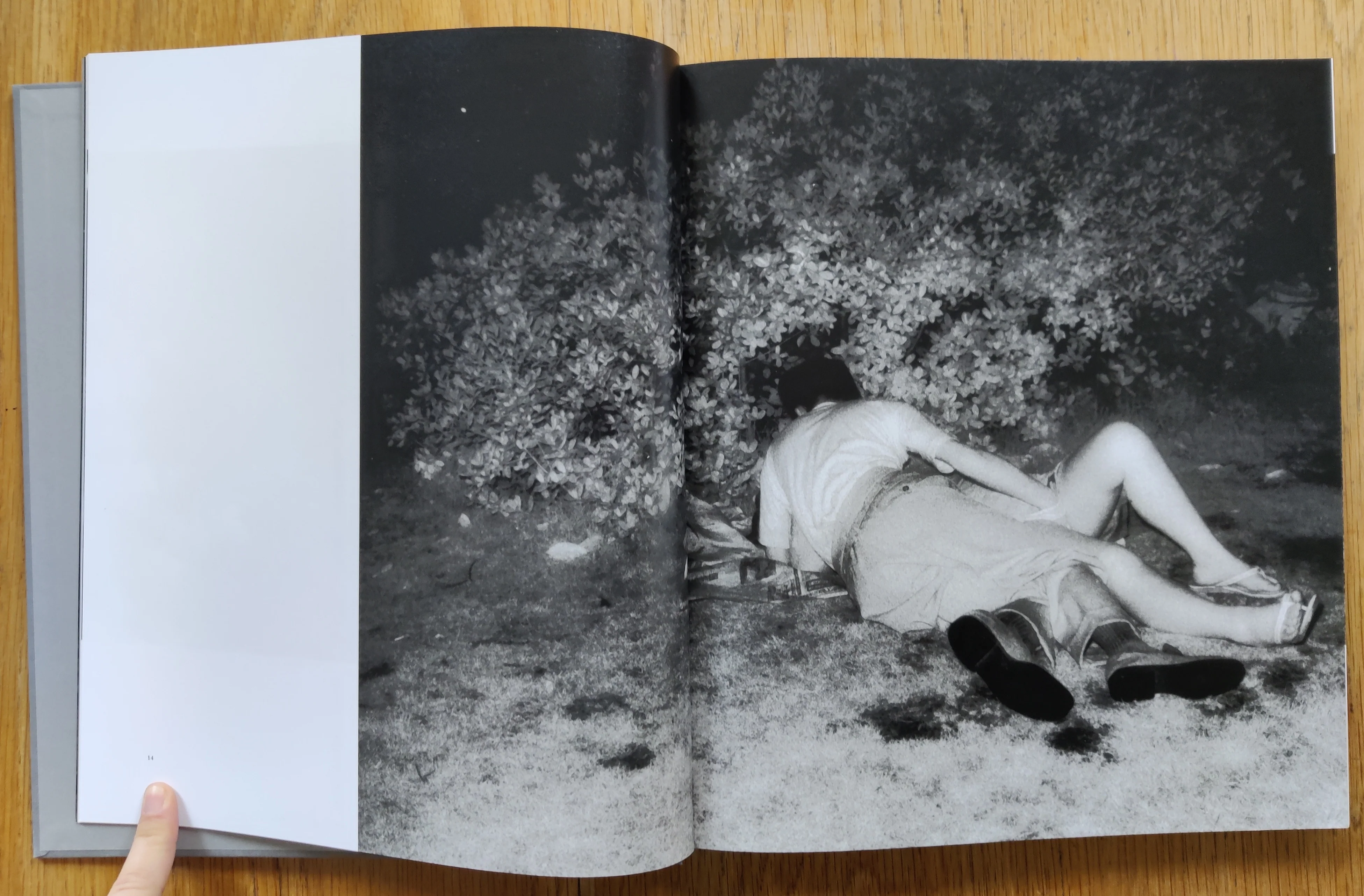 The Park - Image 5