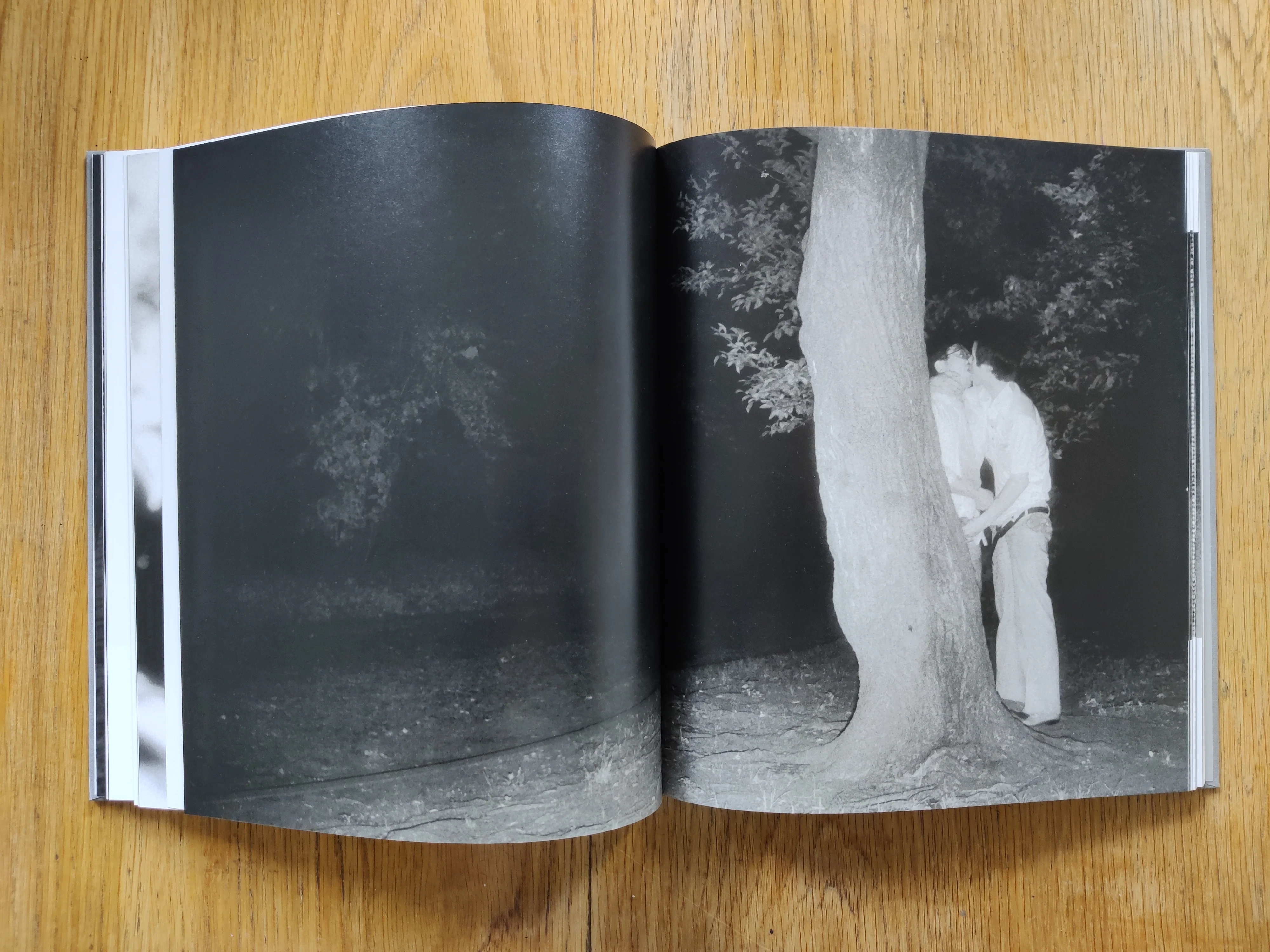 The Park - Image 6