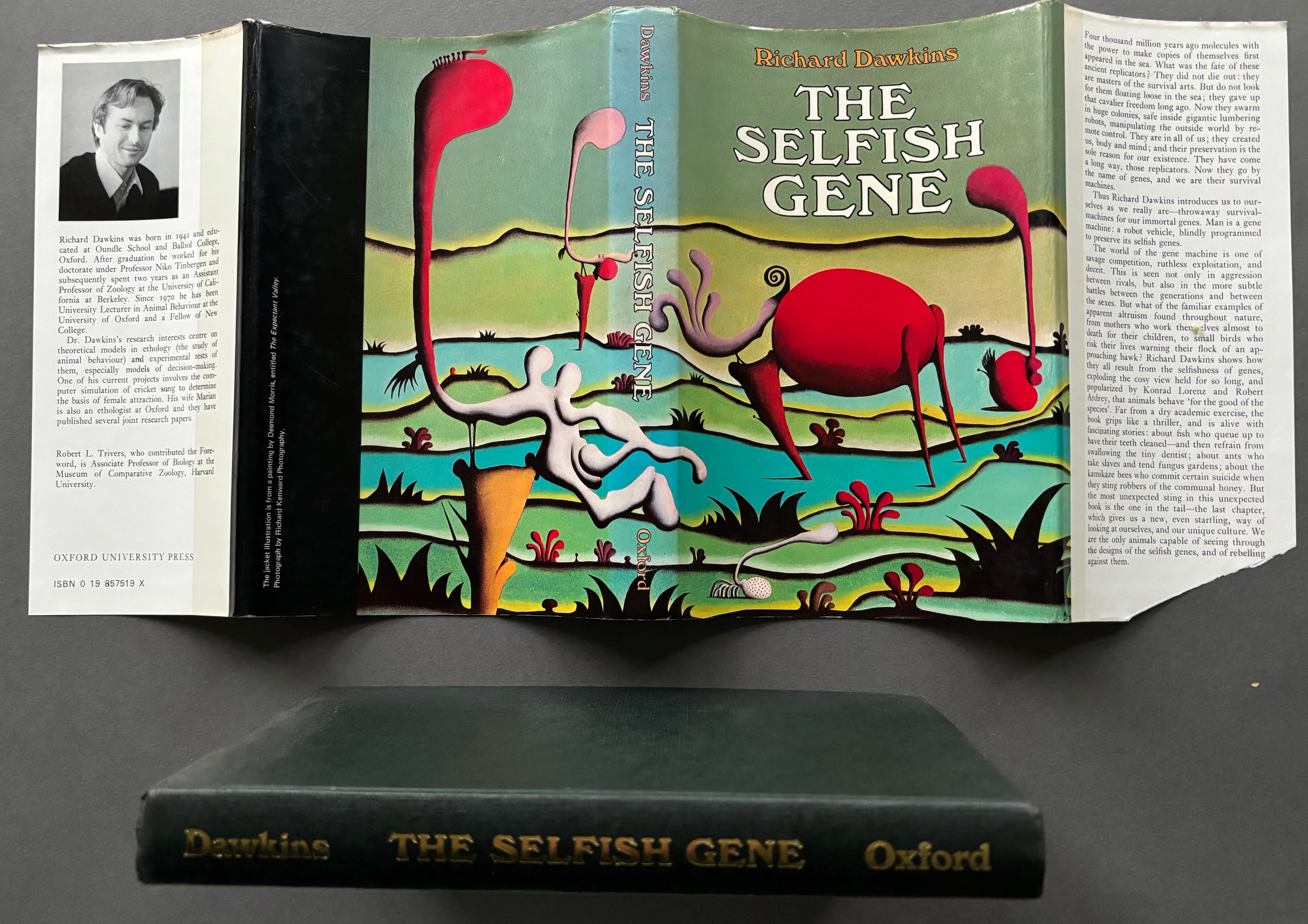 The Selfish Gene - Image 4