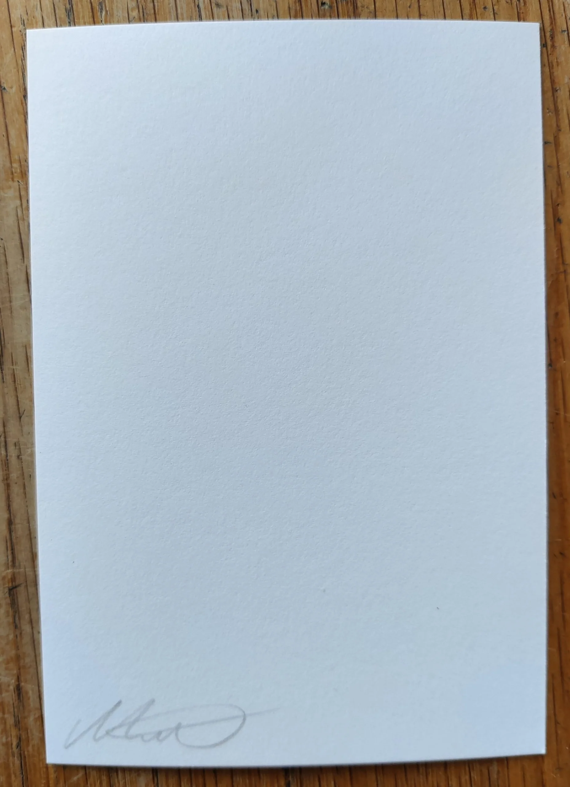 This Land - Image 4