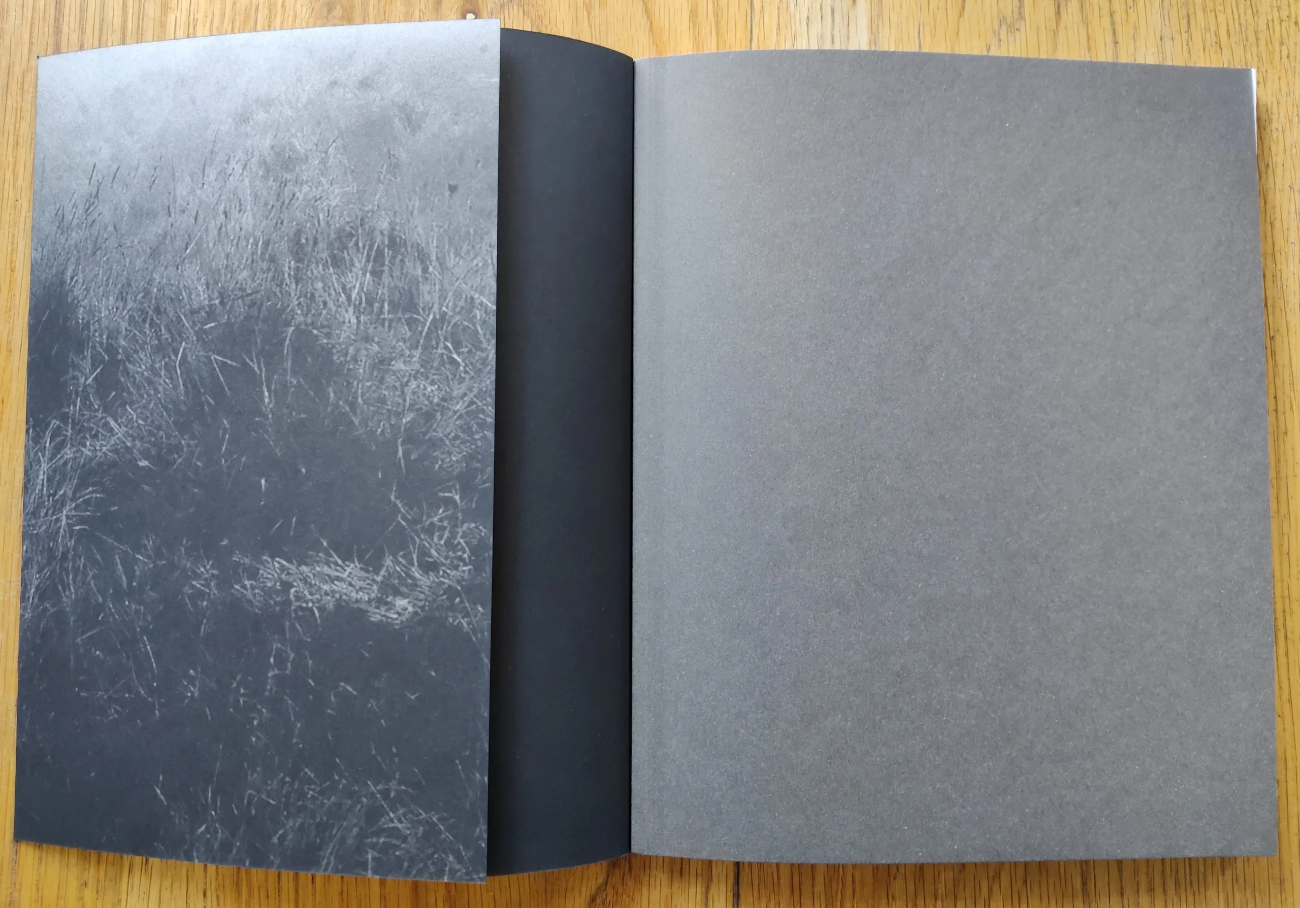 This Land - Image 5