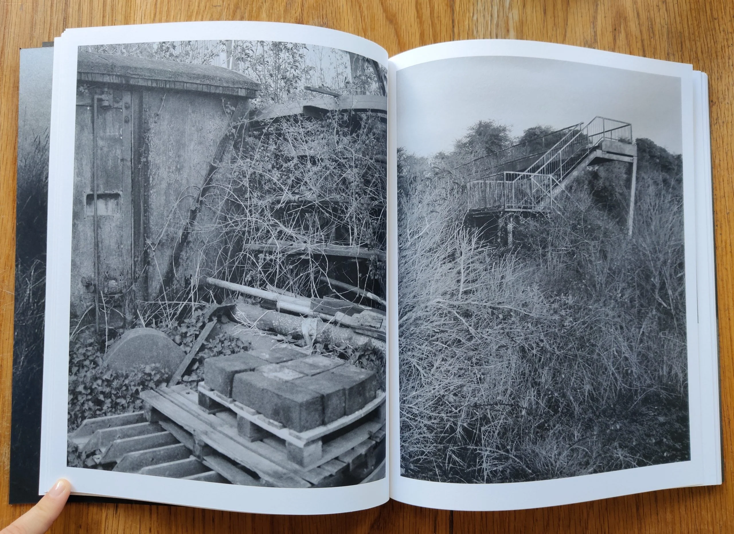 This Land - Image 6
