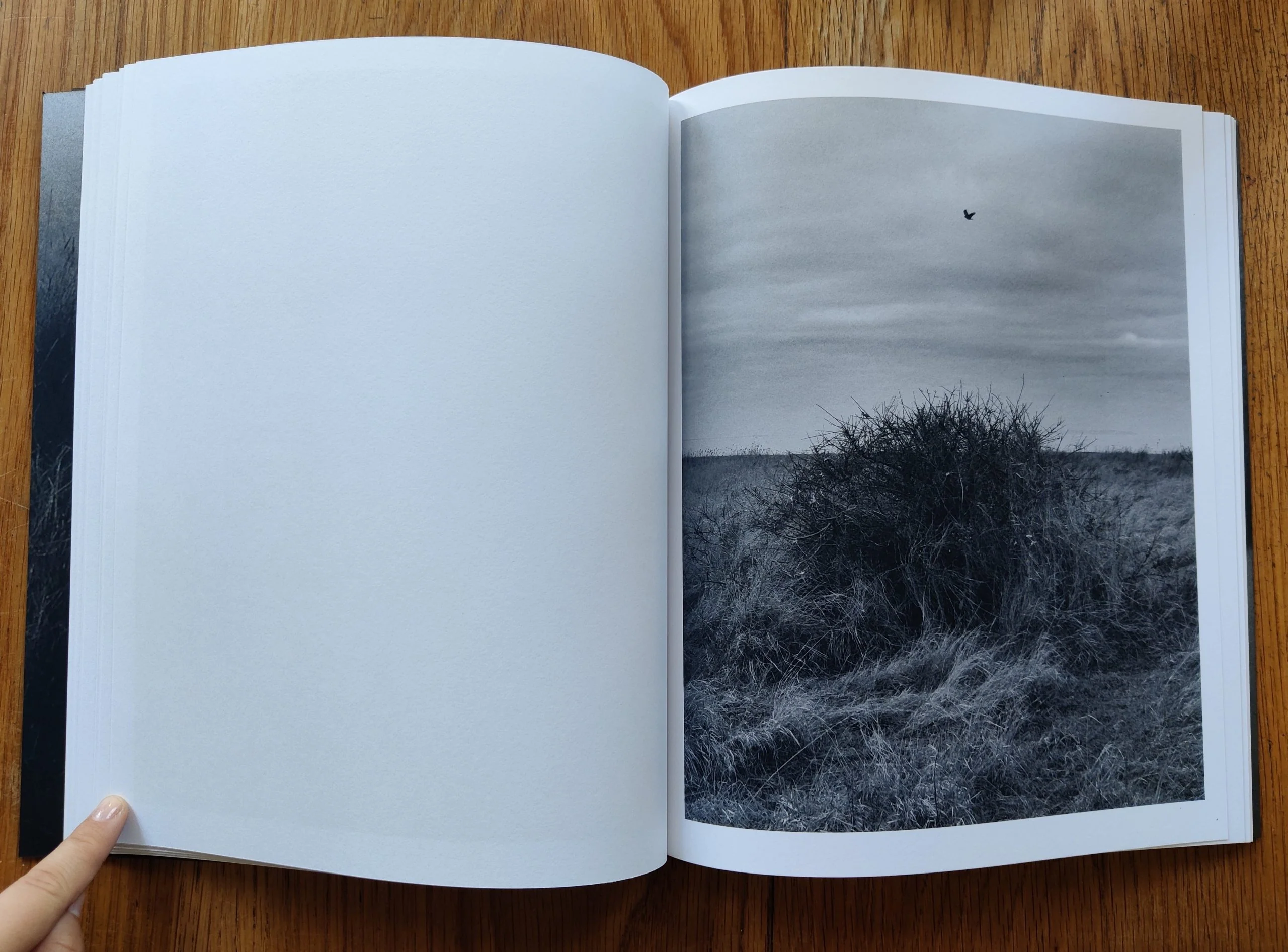 This Land - Image 7