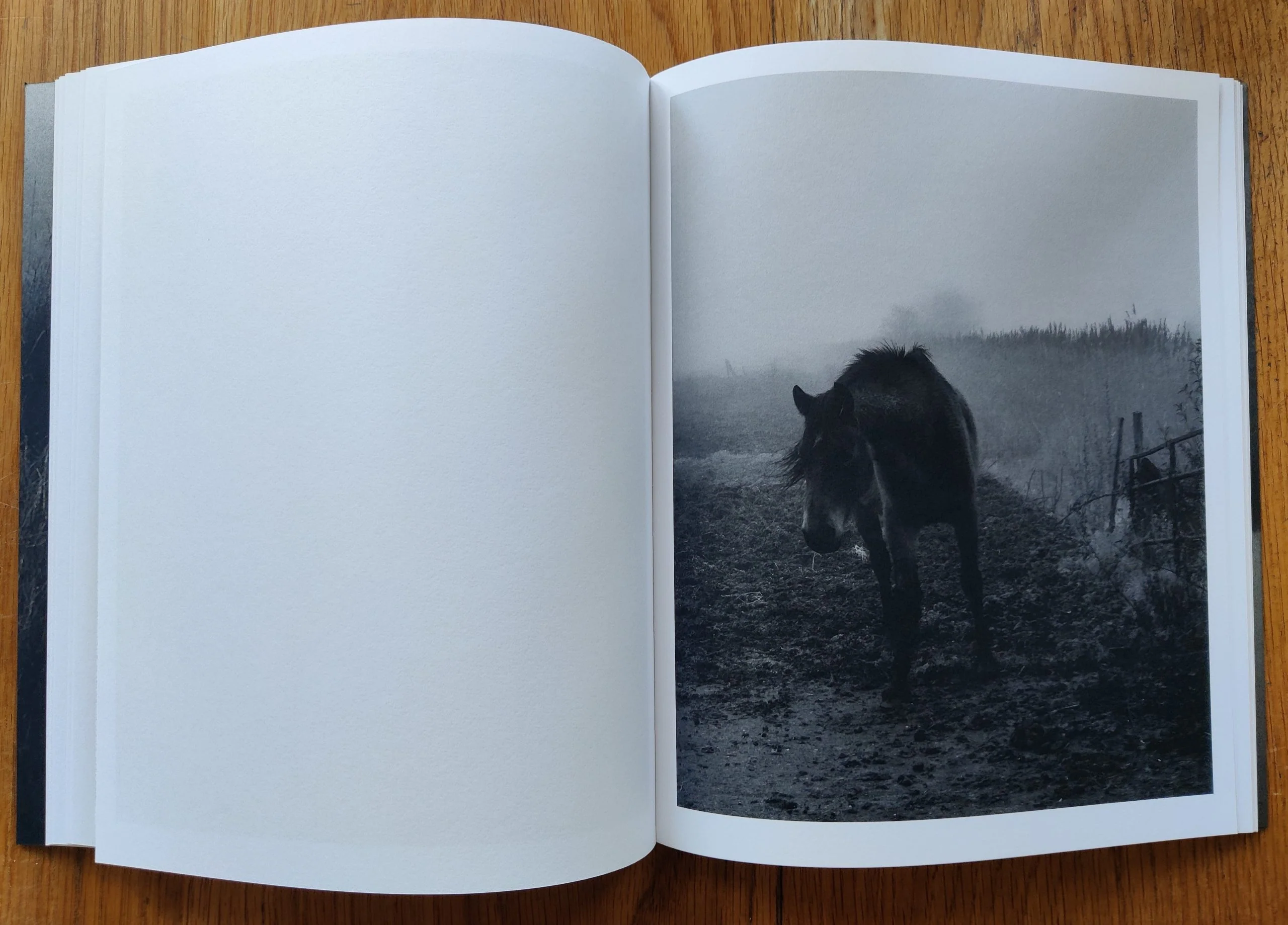 This Land - Image 8