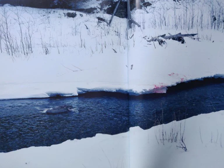 Trails - Image 6