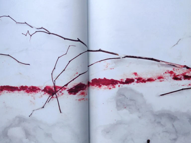 Trails - Image 7