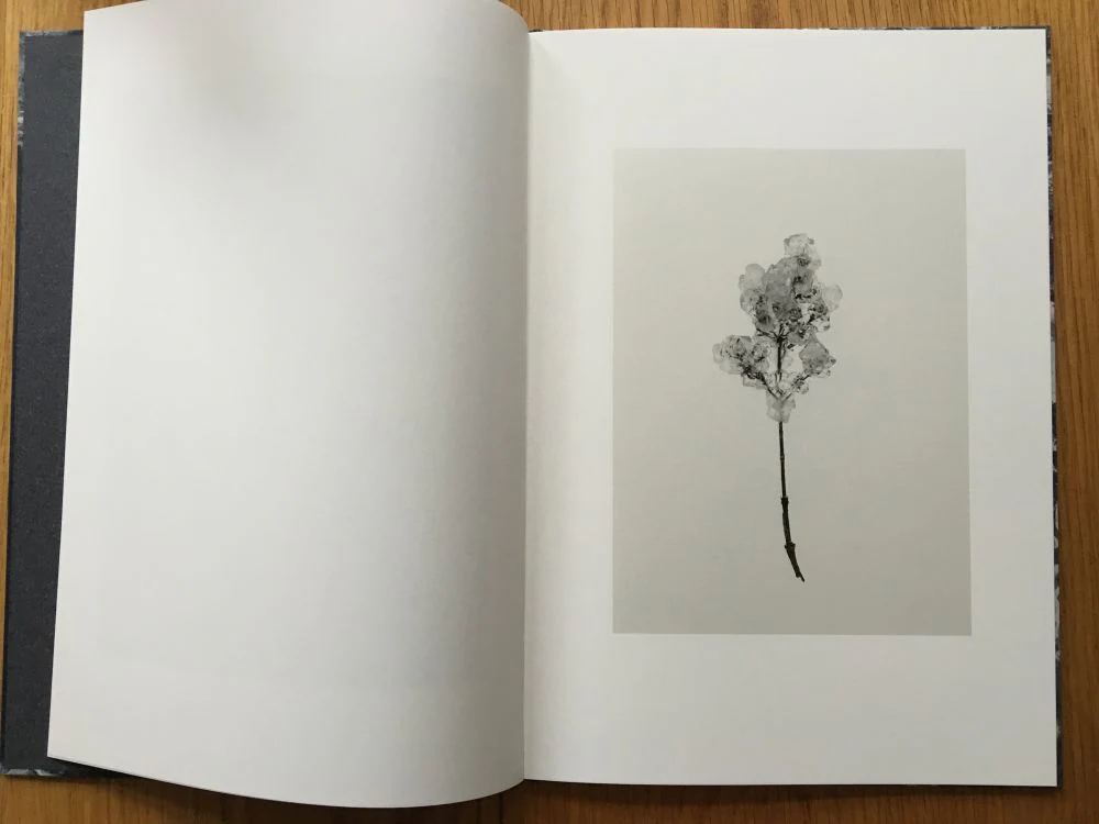 Transparency is the new mystery - Image 4