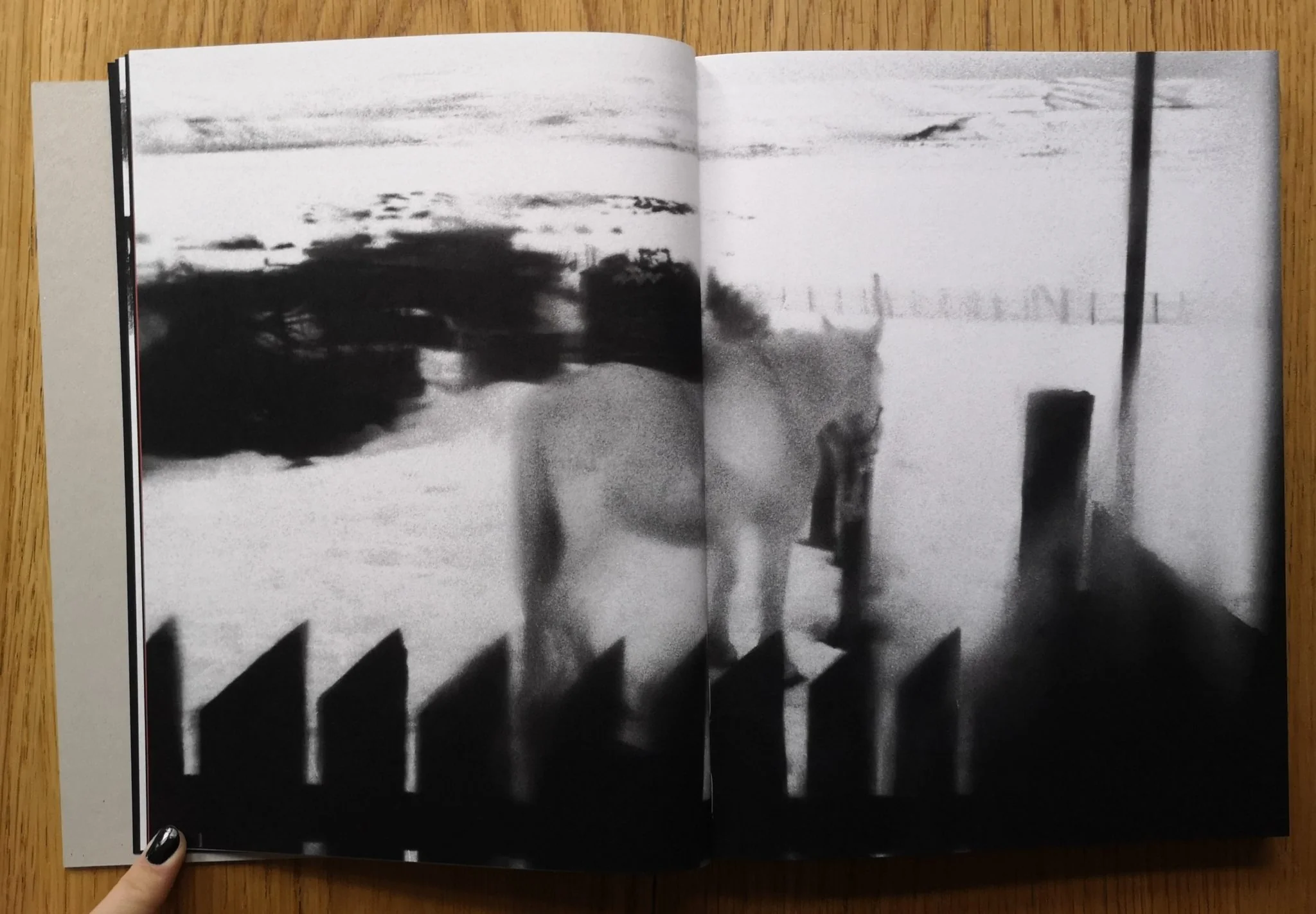 Ultimo sur - Image 4
