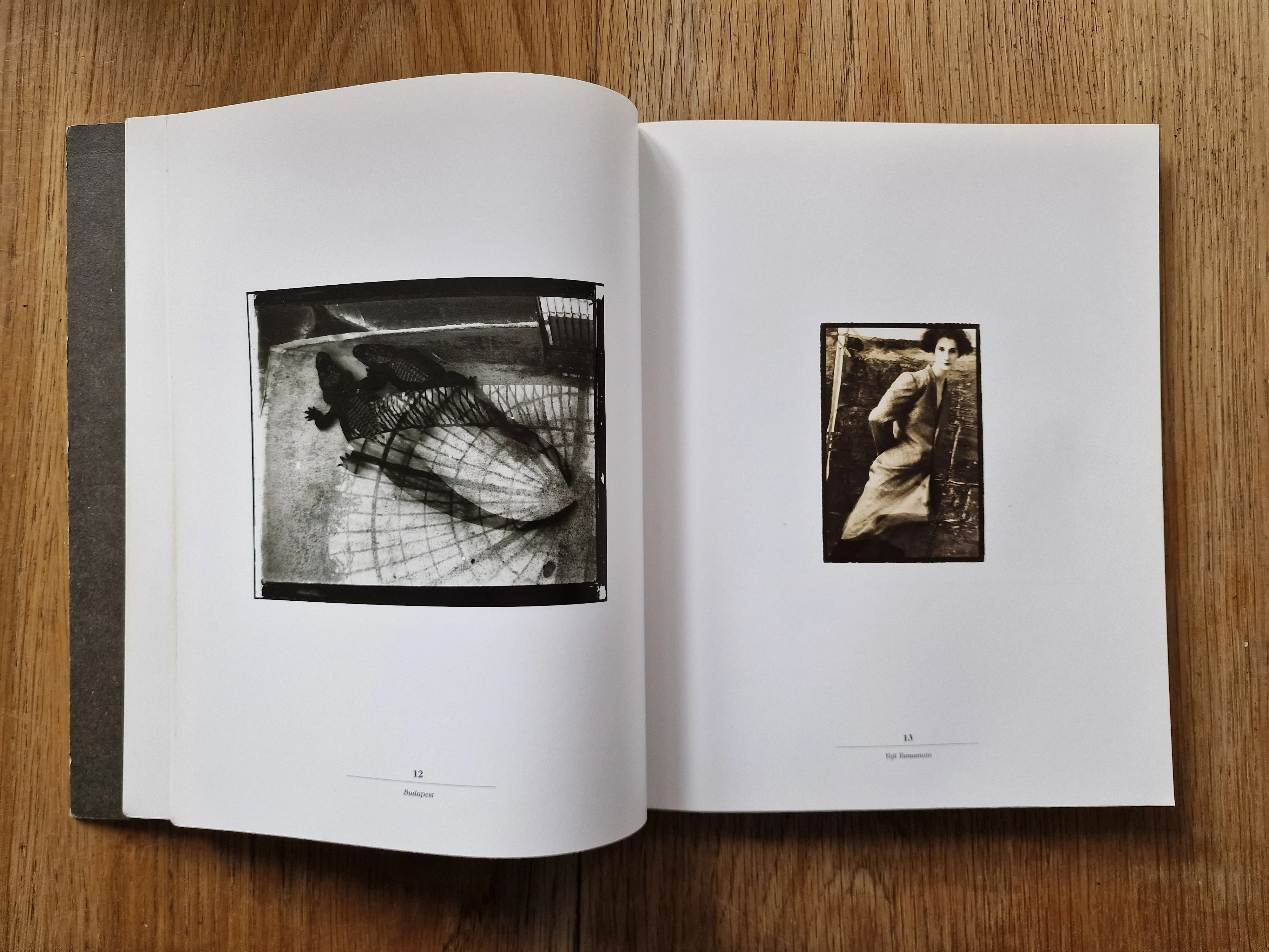 Vrais Semblants: Photographies de Sarah Moon - Image 3