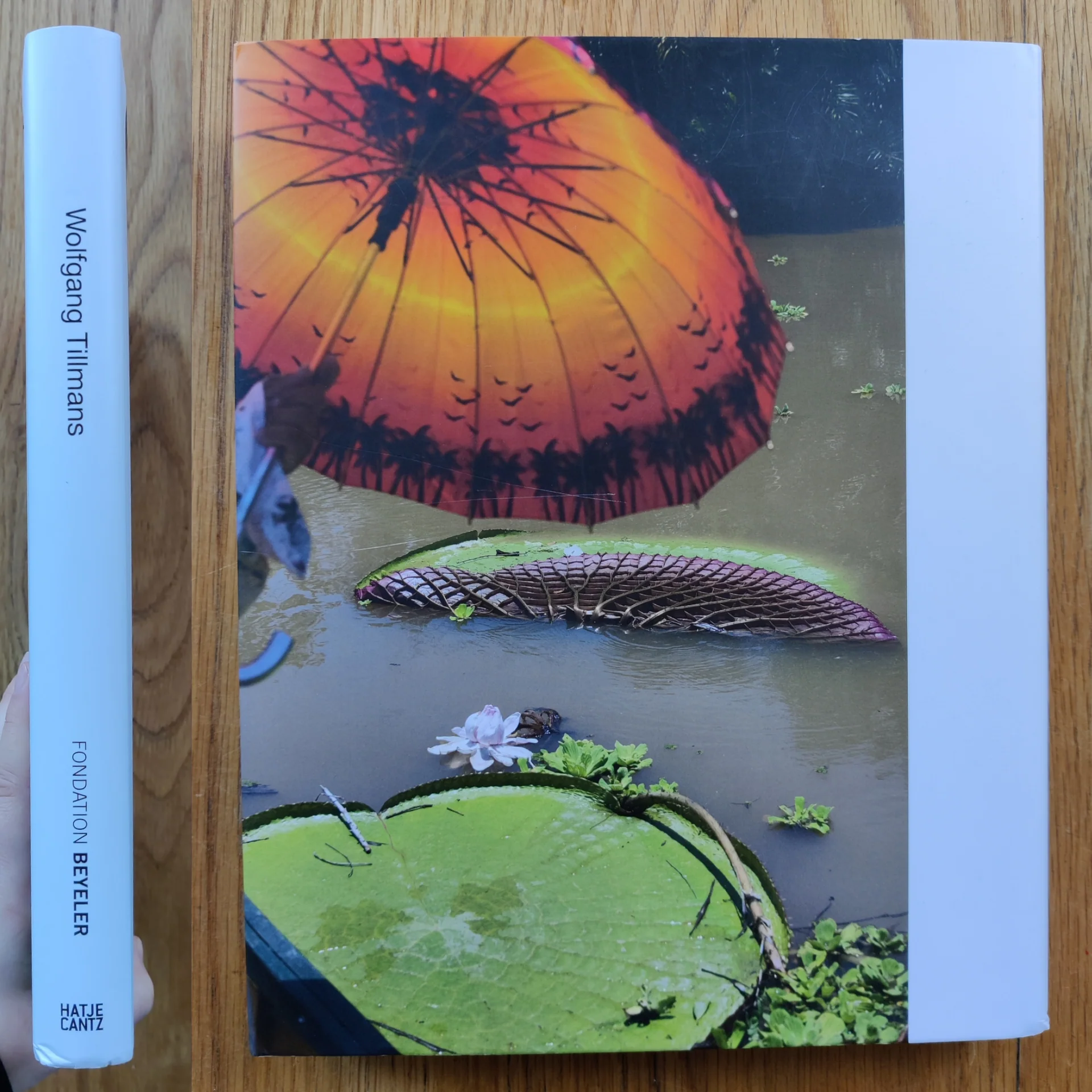 Wolfgang Tillmans - Image 10